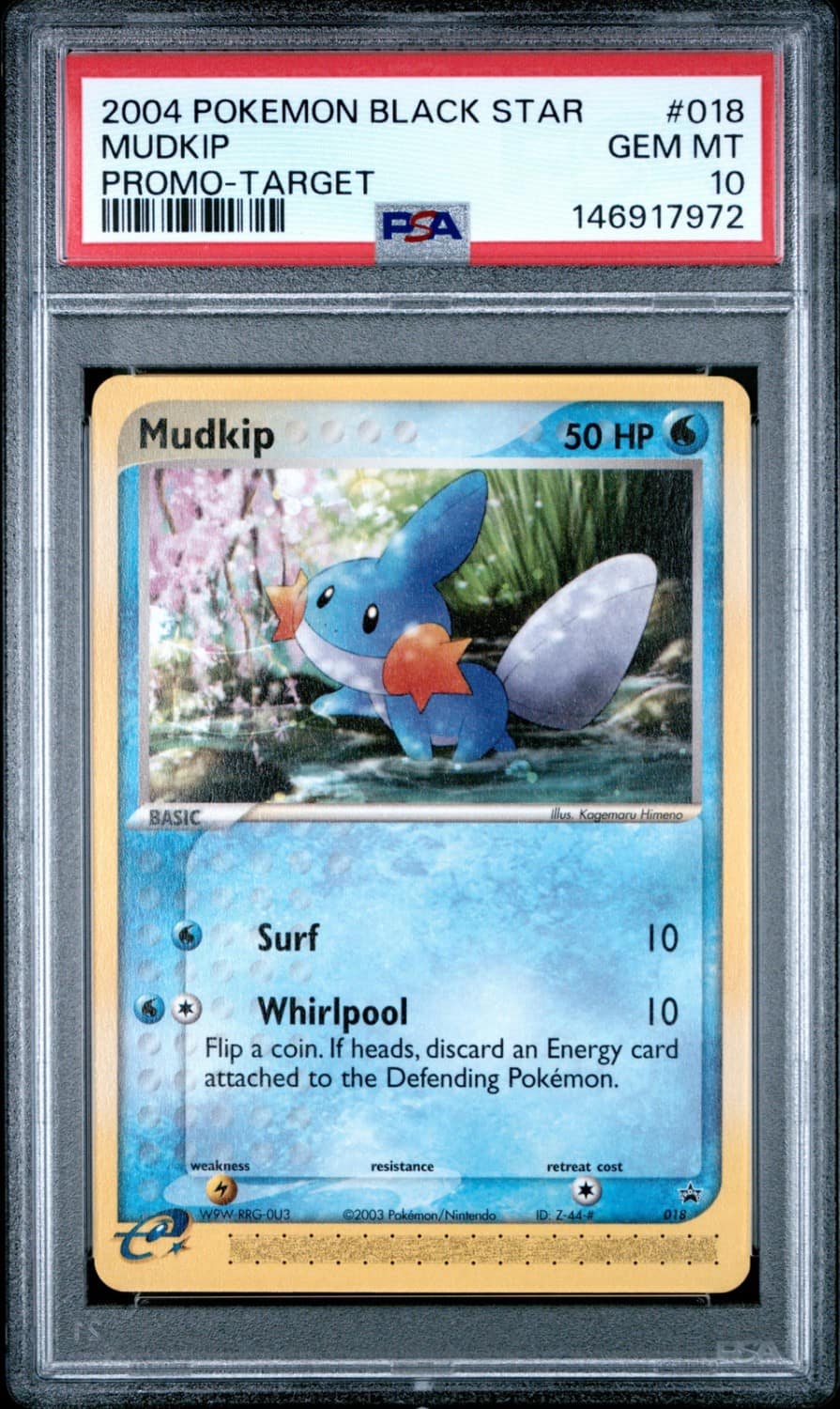 Mudkip