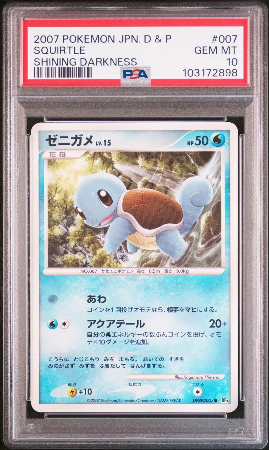 Squirtle