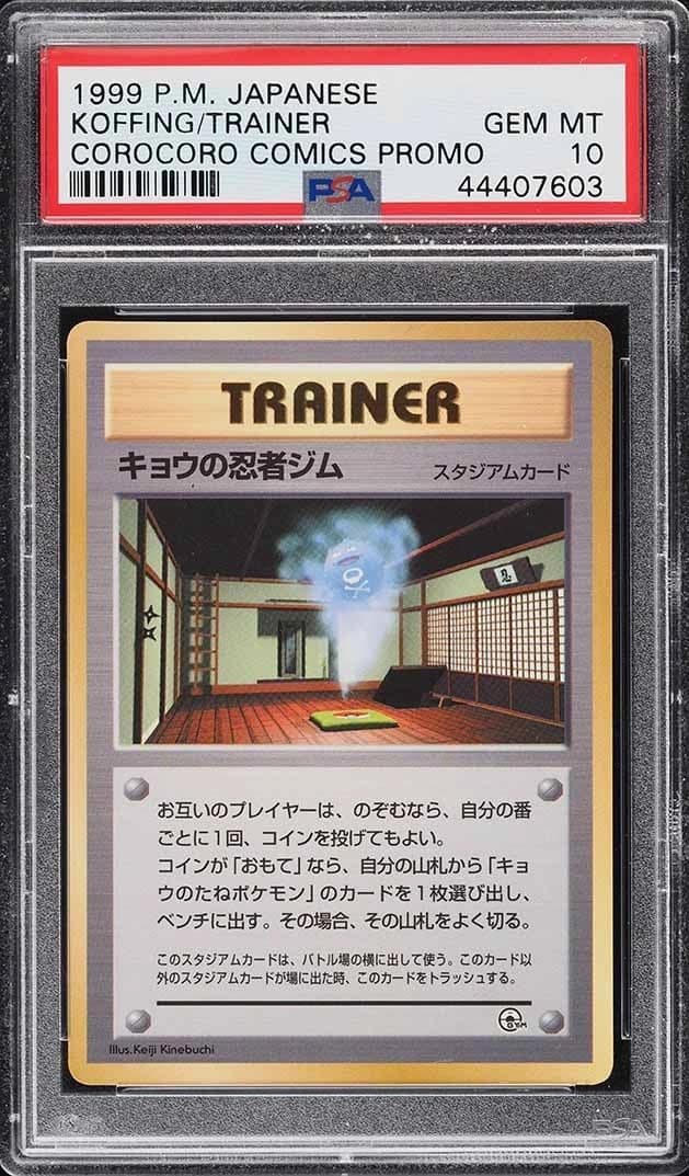 Koga'S Ninja Gym