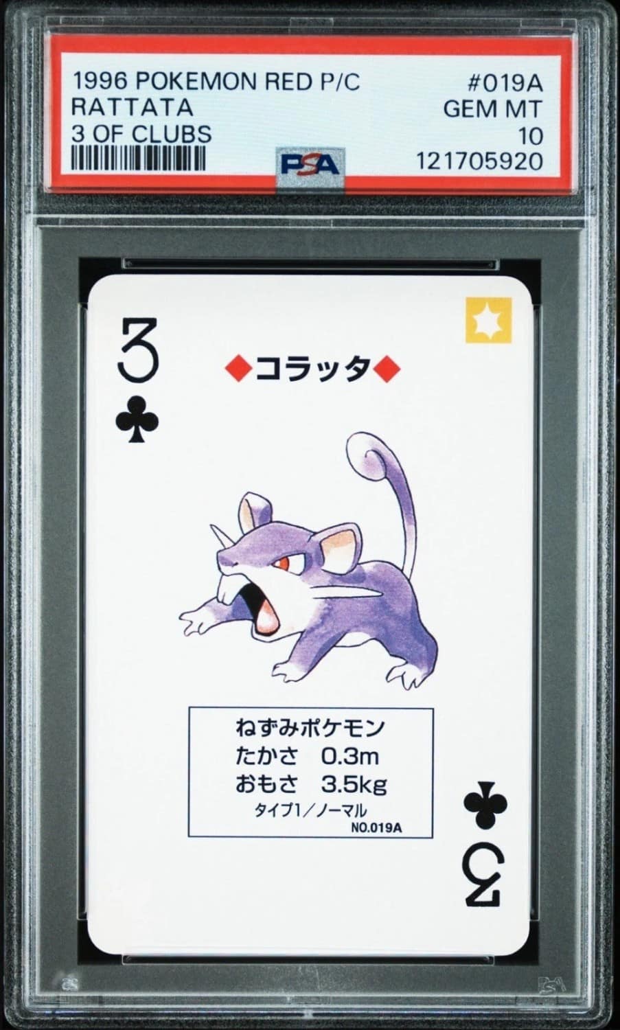 Rattata