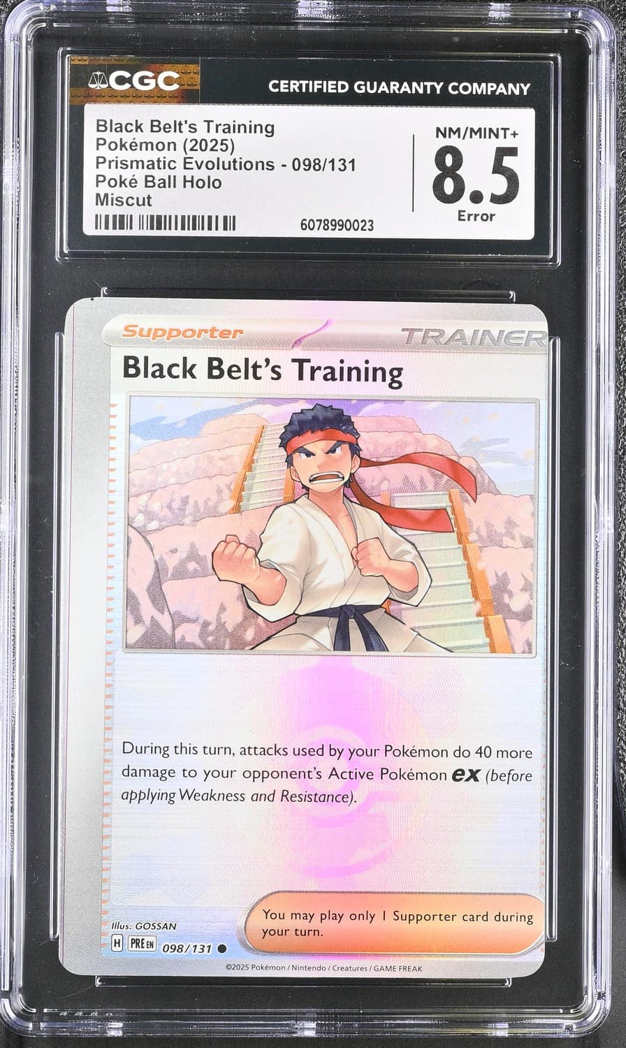 Black Belt'S Training