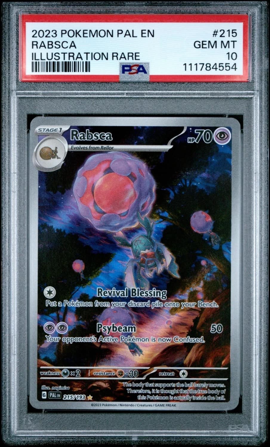Rabsca