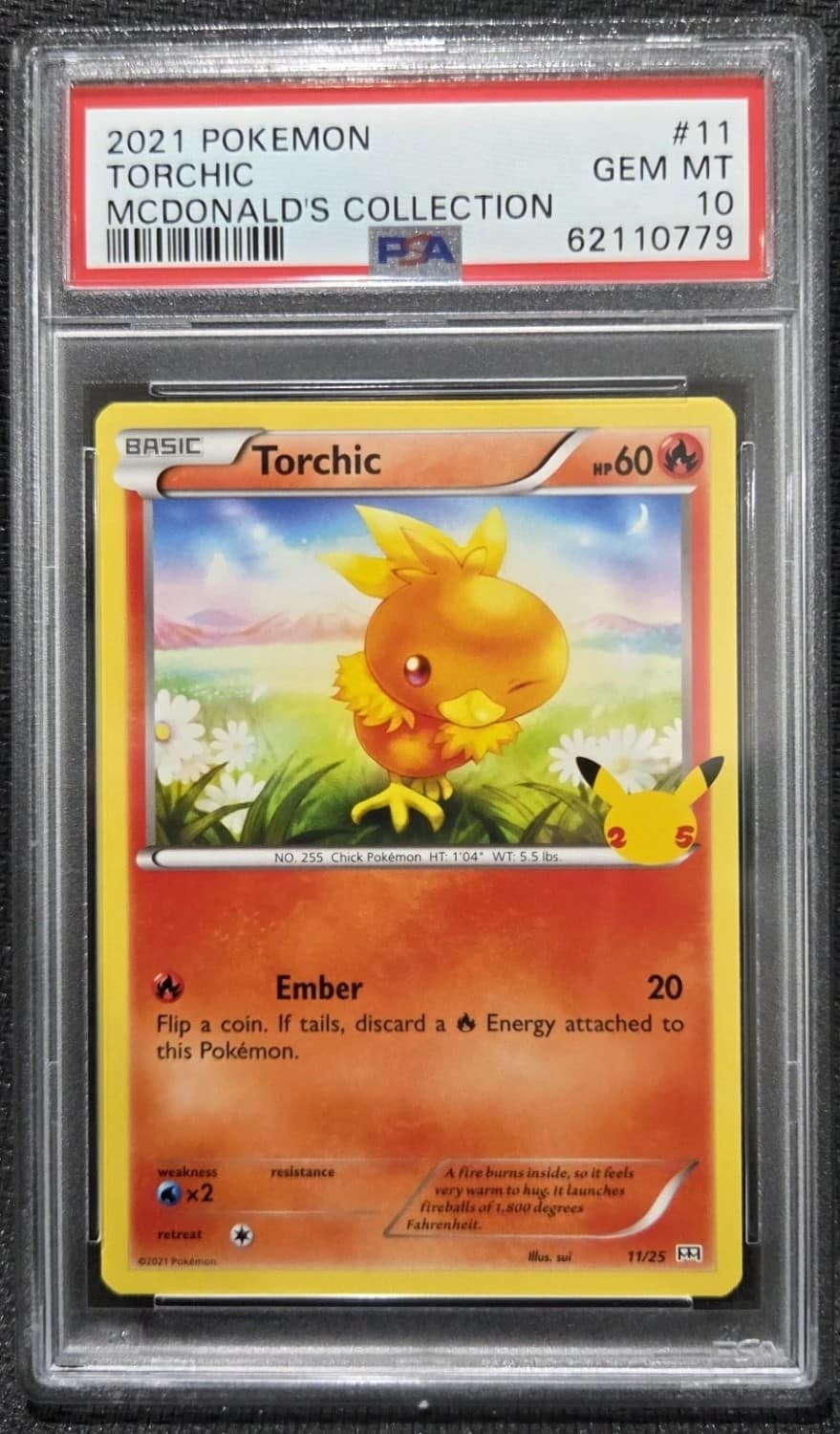 Torchic