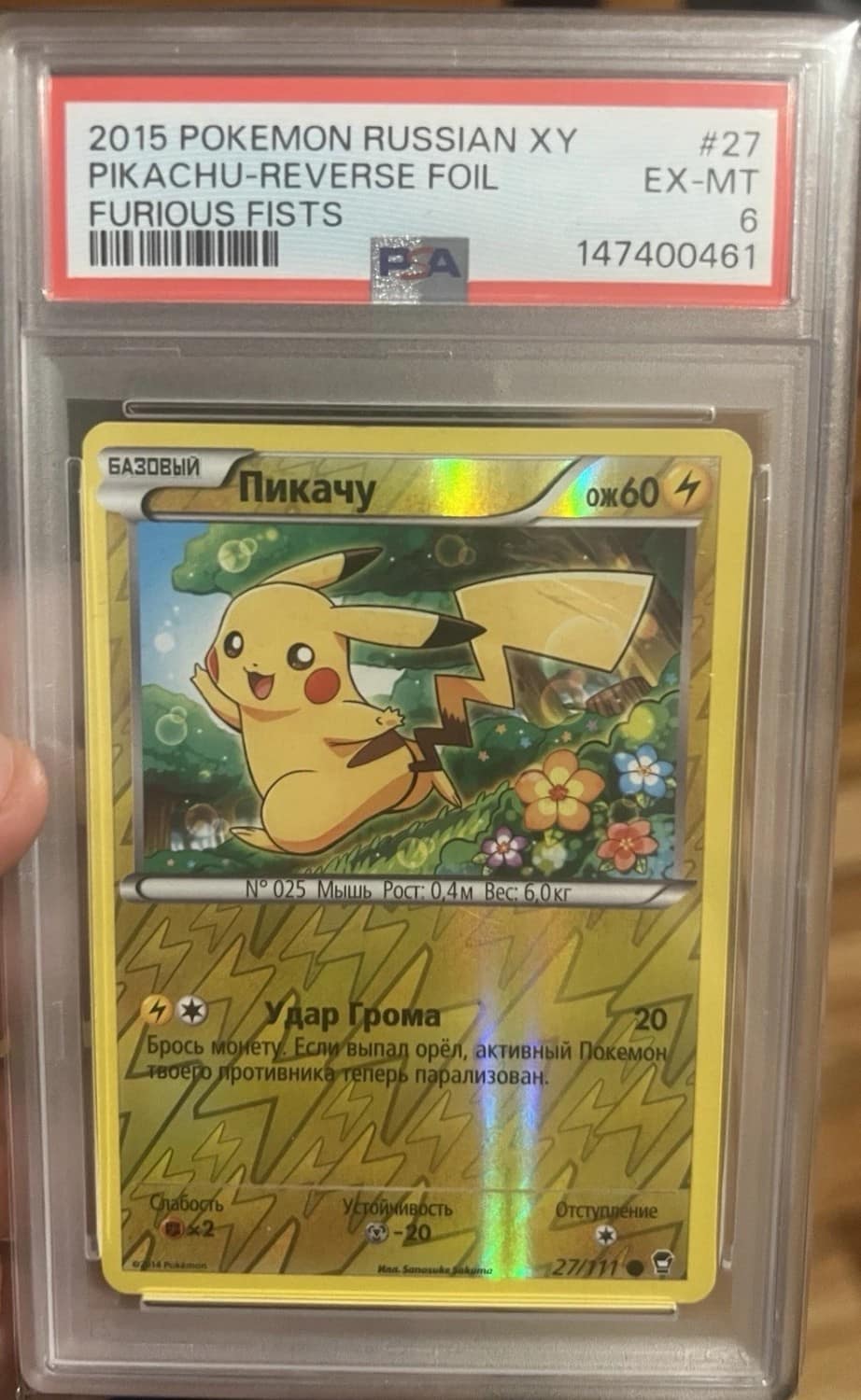 Pikachu-Furious Fists