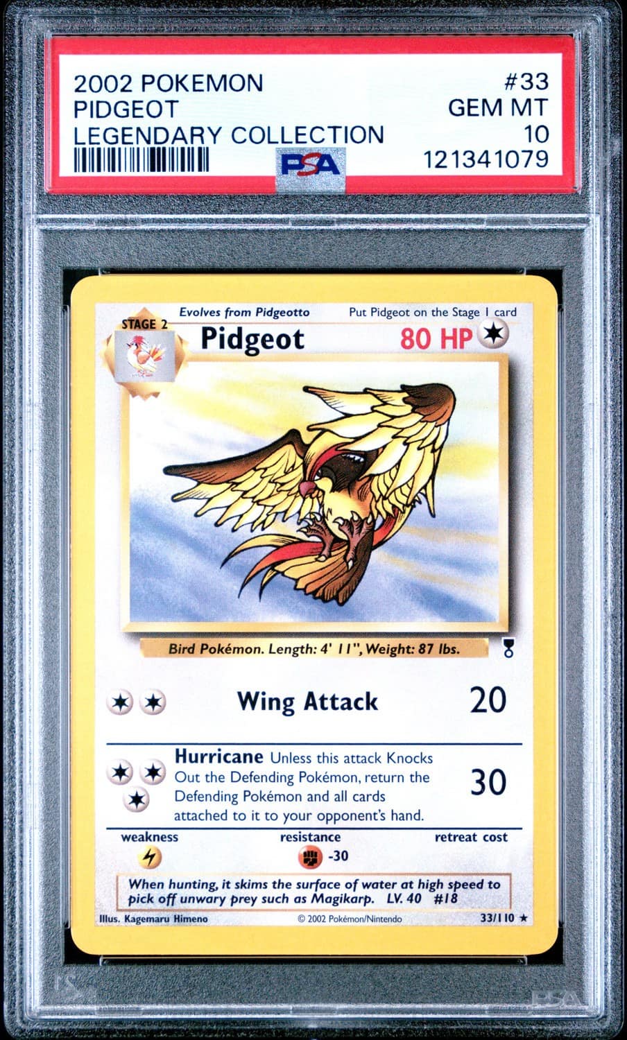 Pidgeot