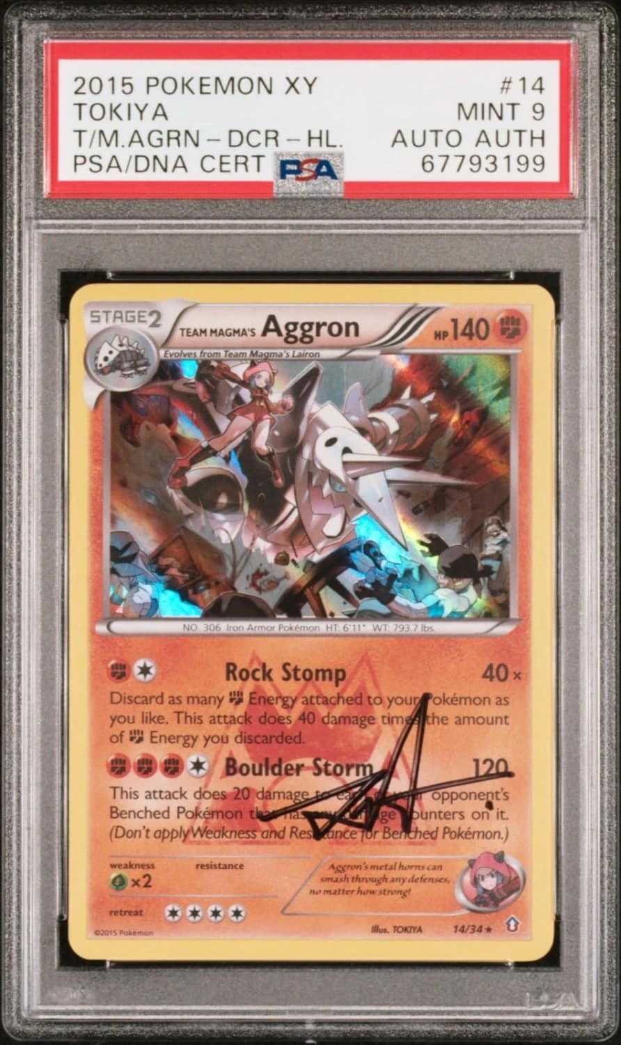 Team Magma'S Aggron