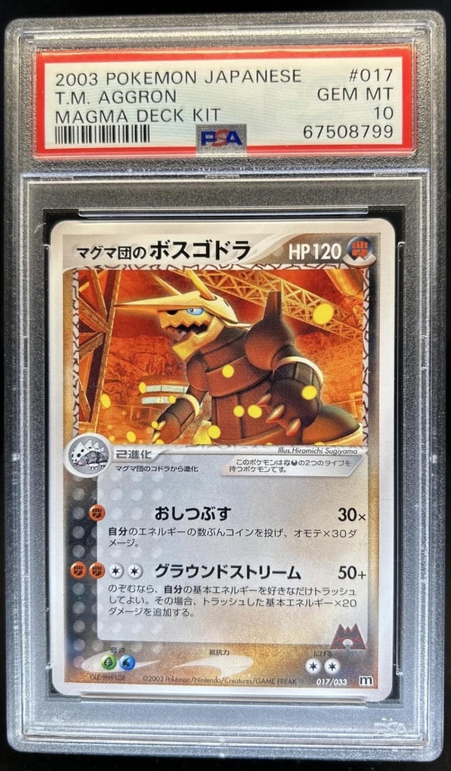 Team Magma'S Aggron