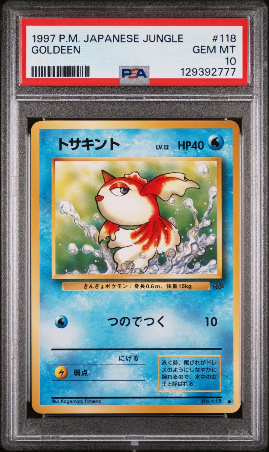 Goldeen