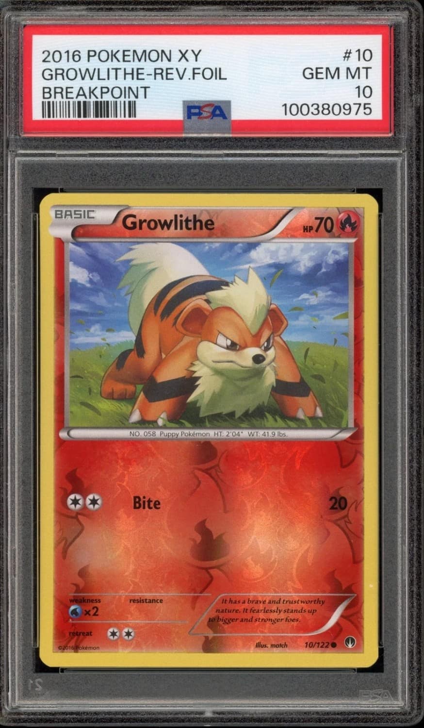 Growlithe