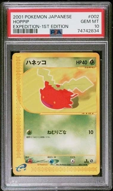 Hoppip