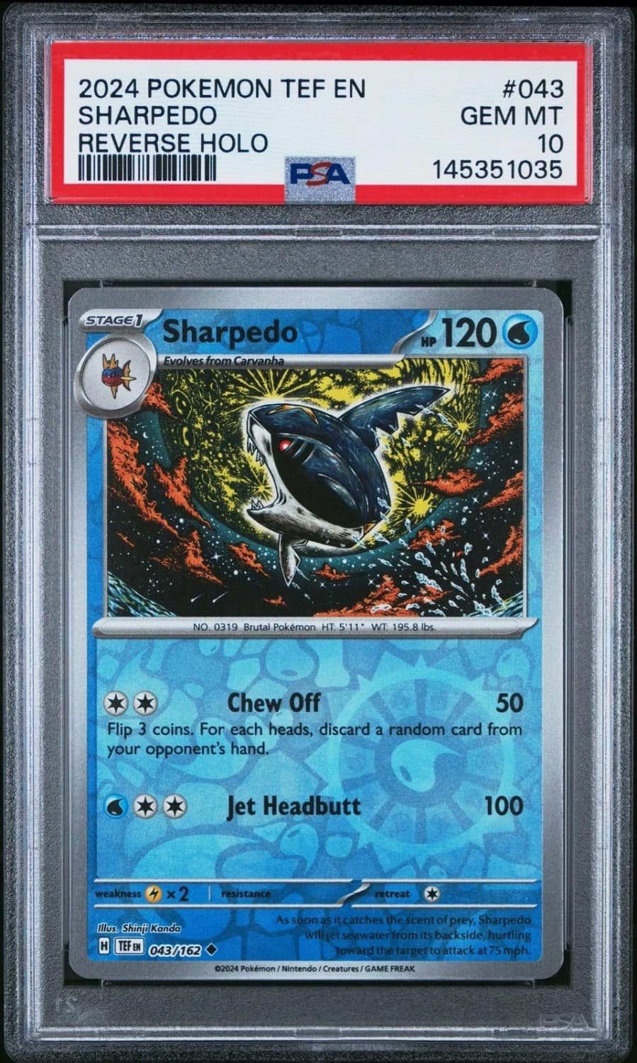 Sharpedo