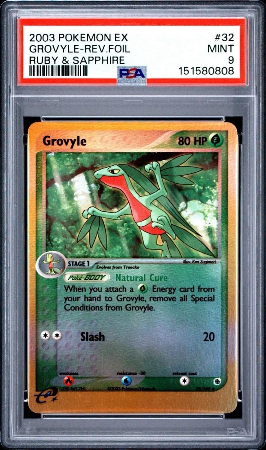 Grovyle