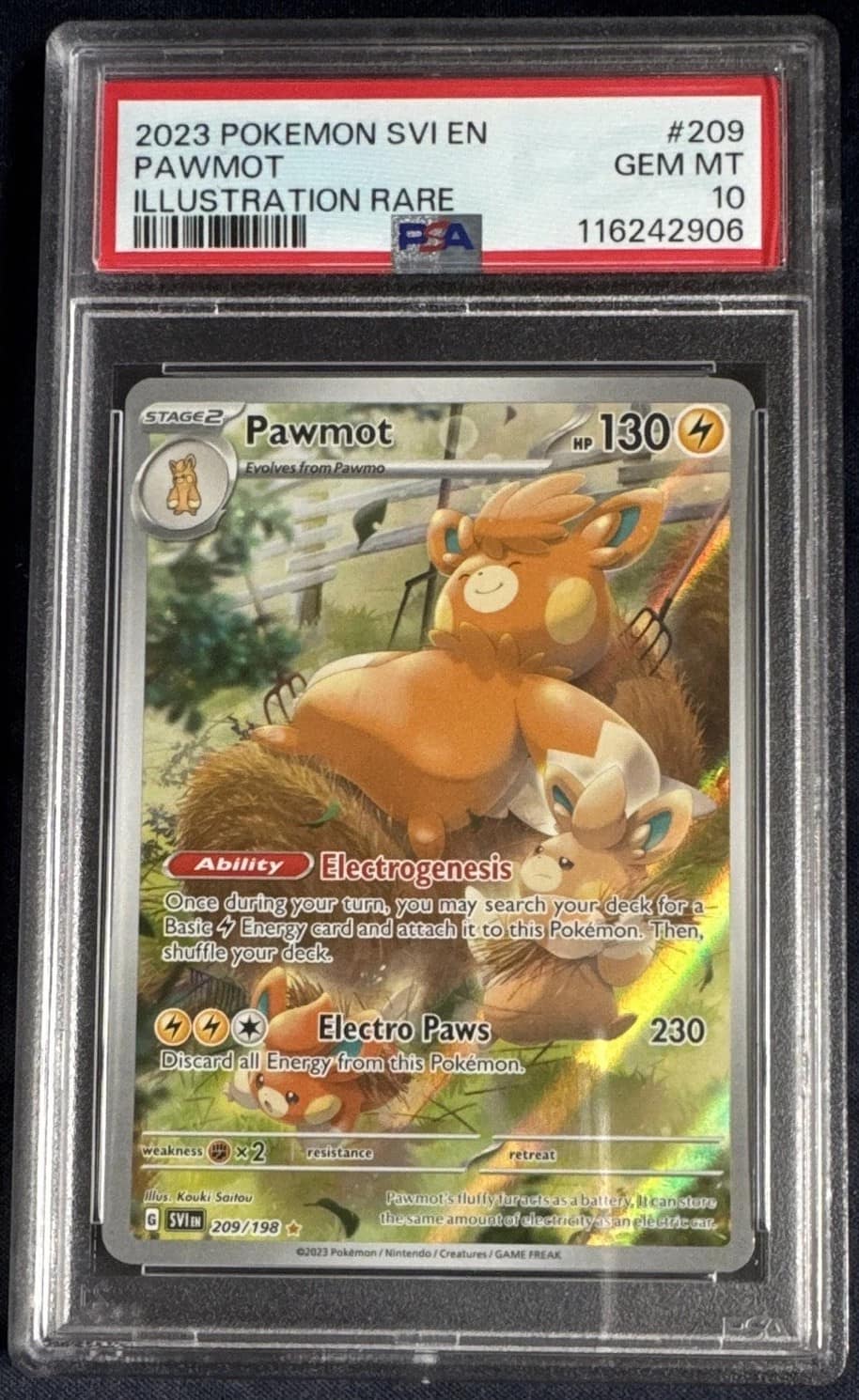 Pawmot