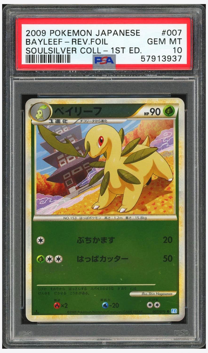 Bayleef