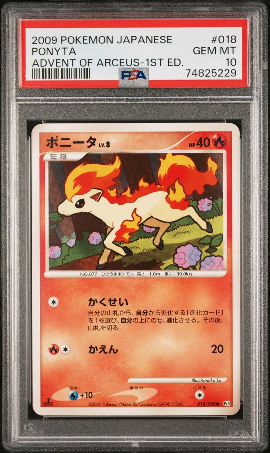 Ponyta