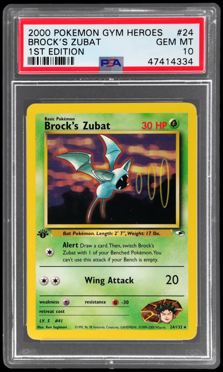 Brock'S Zubat