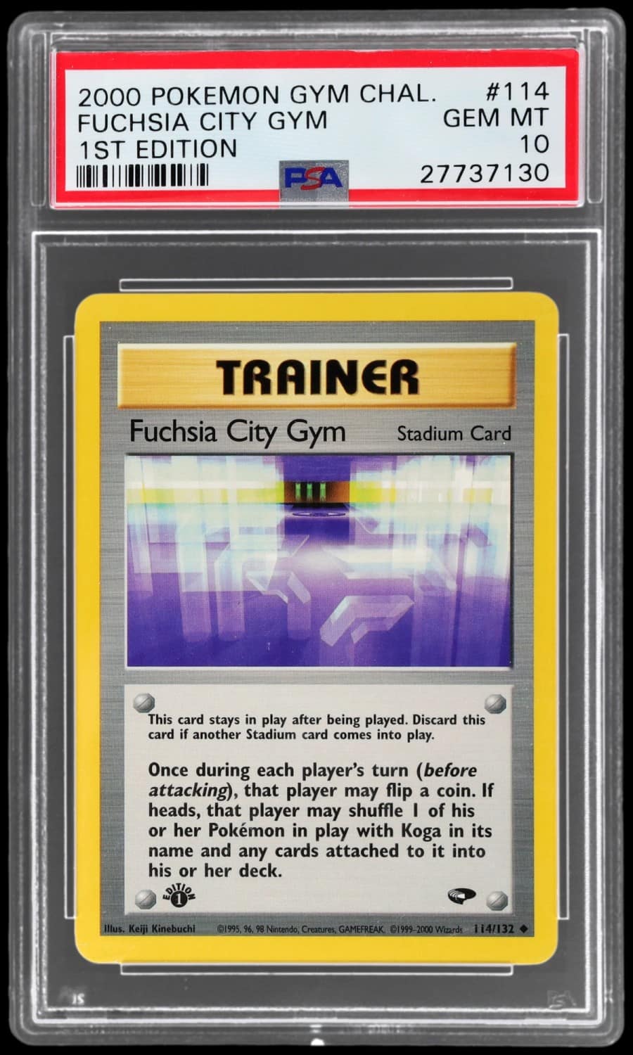 Fuchsia City Gym