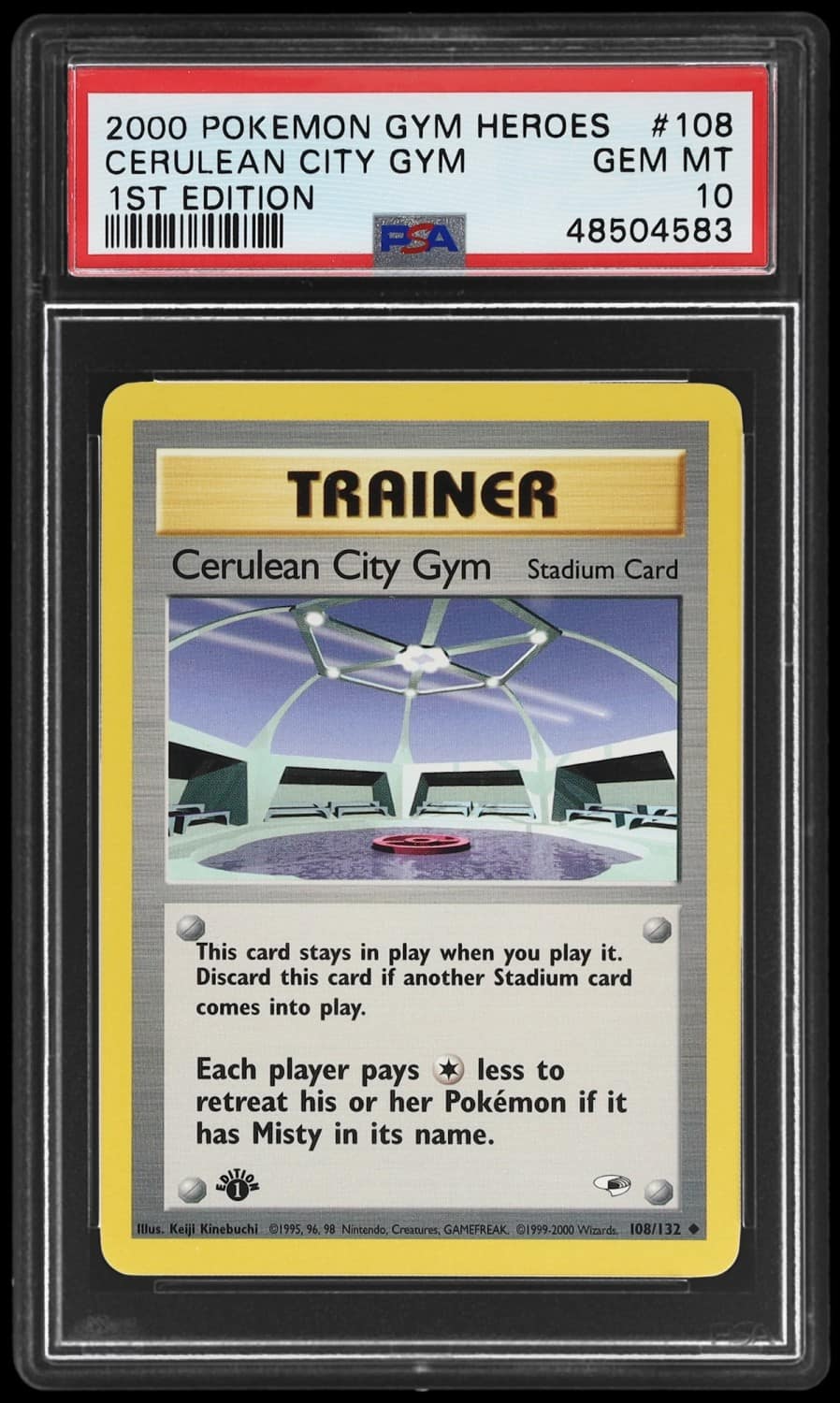 Cerulean City Gym