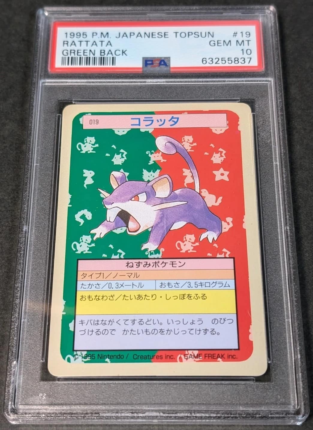 Rattata