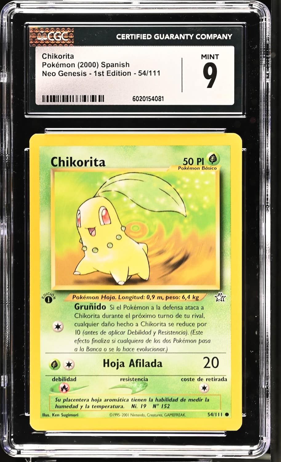 Chikorita