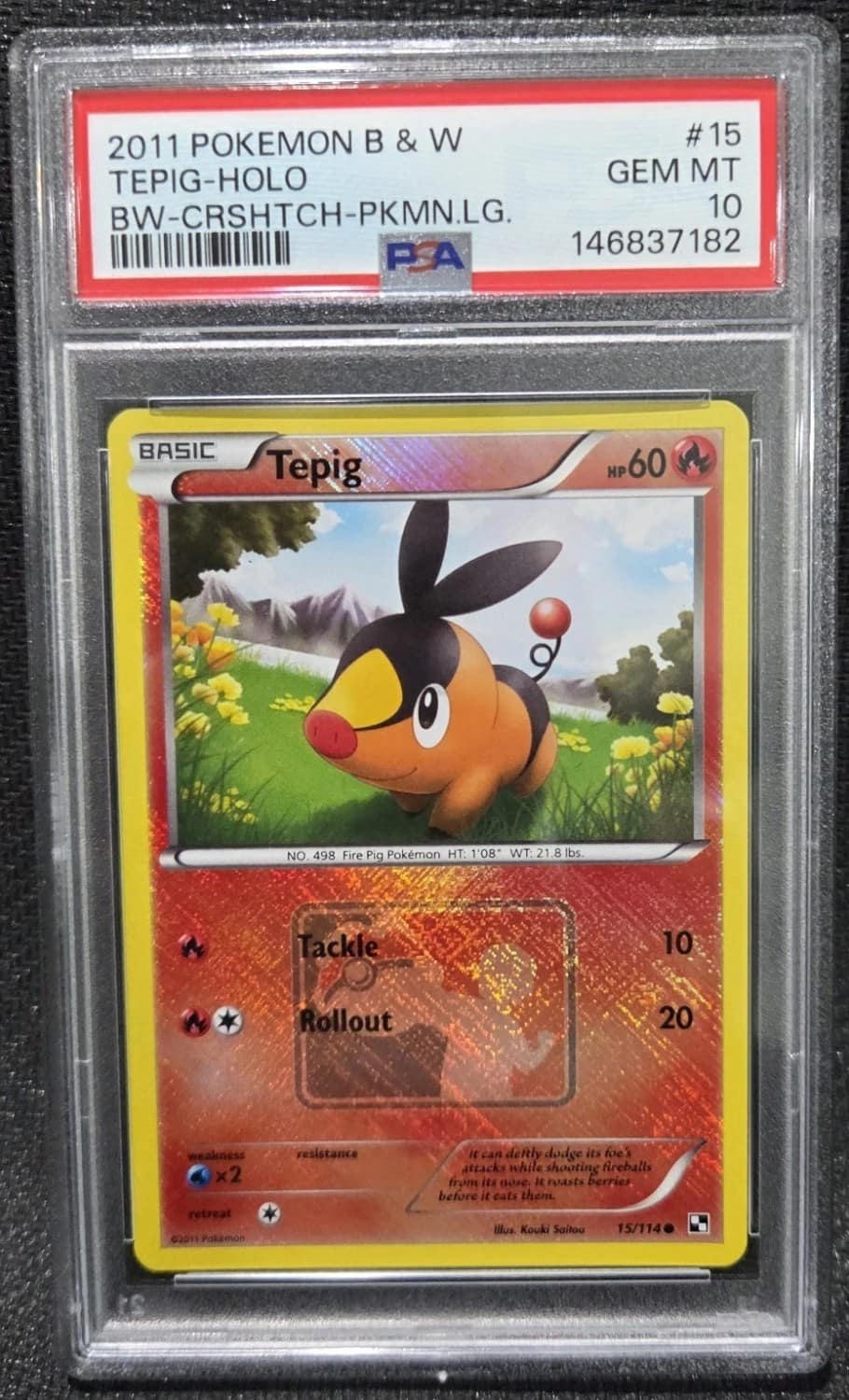 Tepig