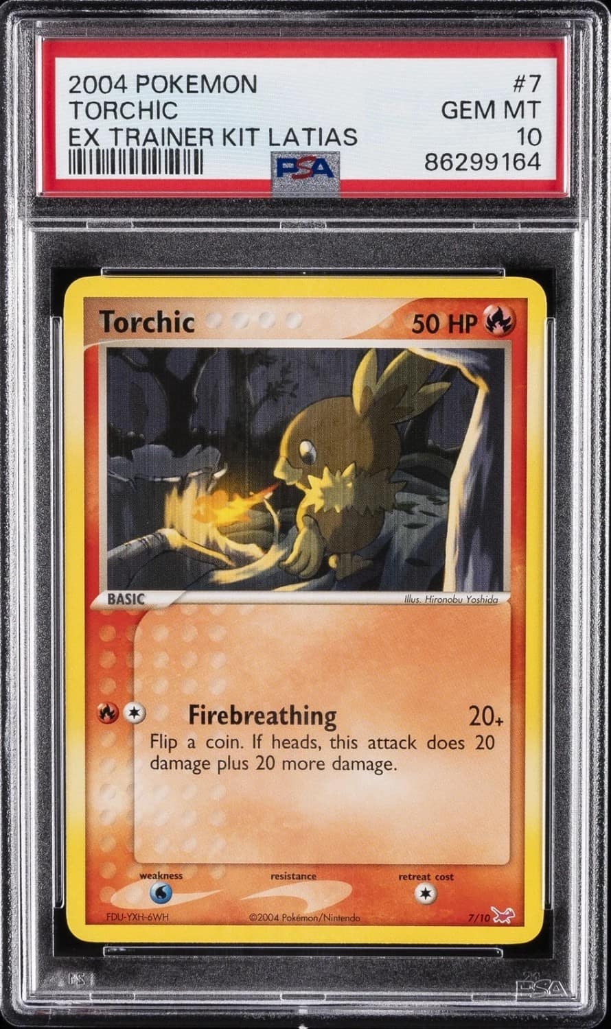 Torchic