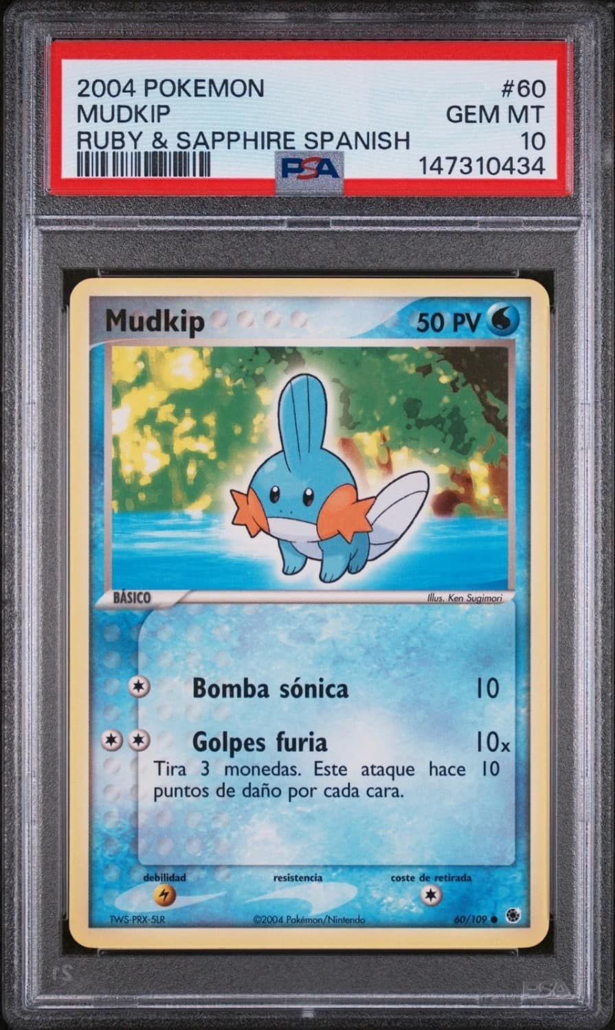 Mudkip