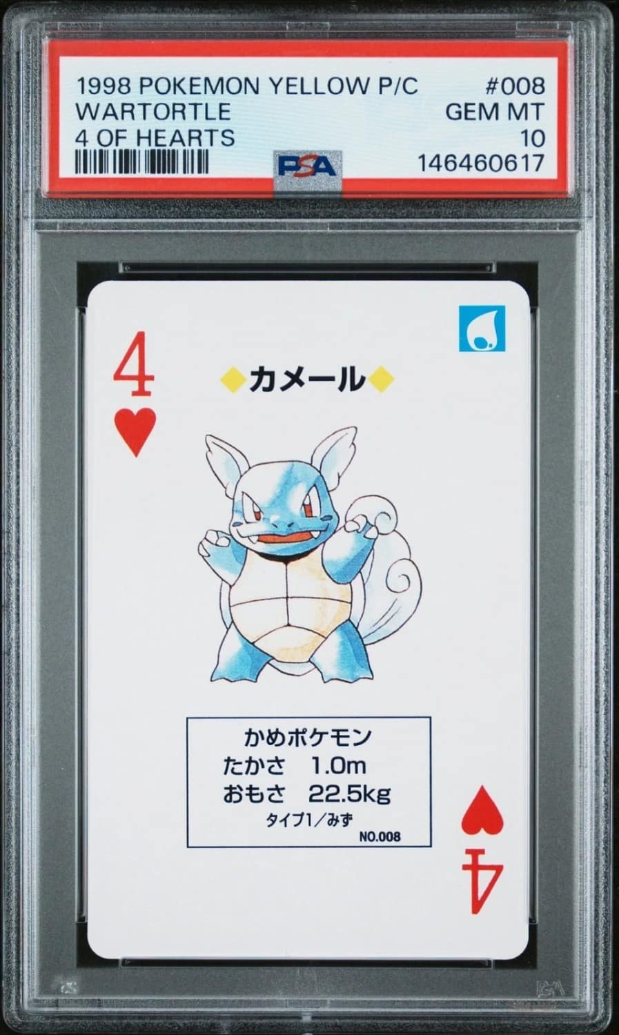 Wartortle