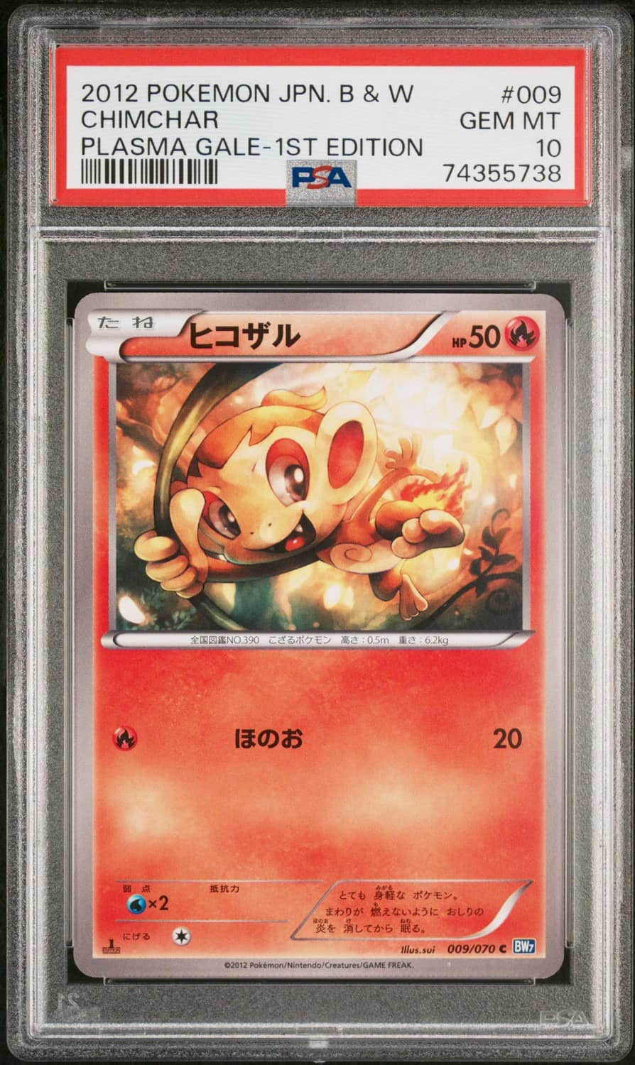 Chimchar