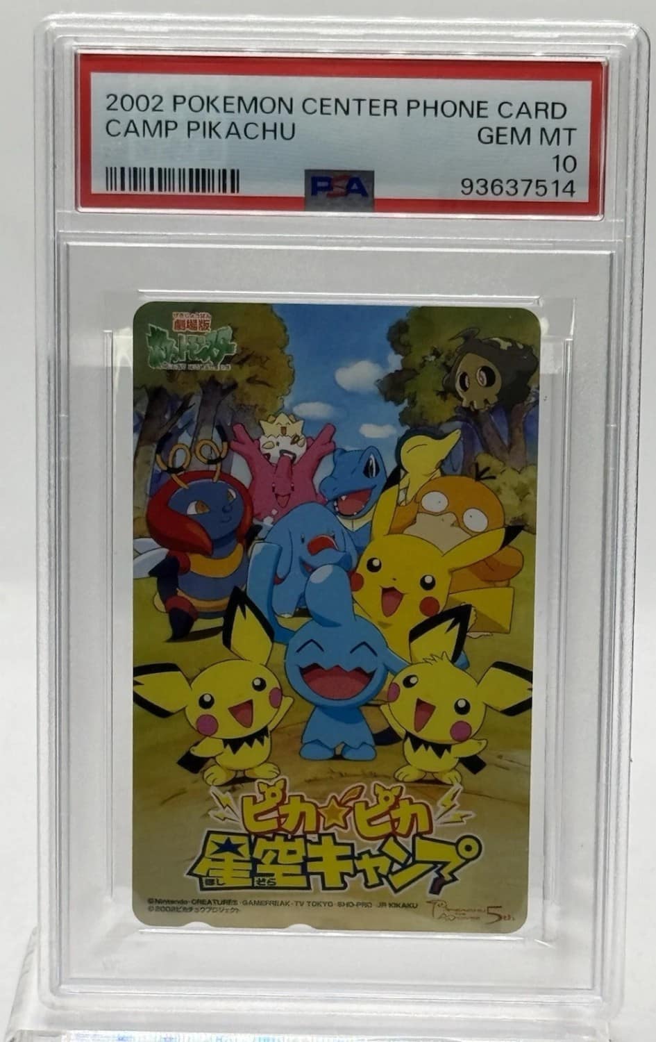 Camp Pikachu
