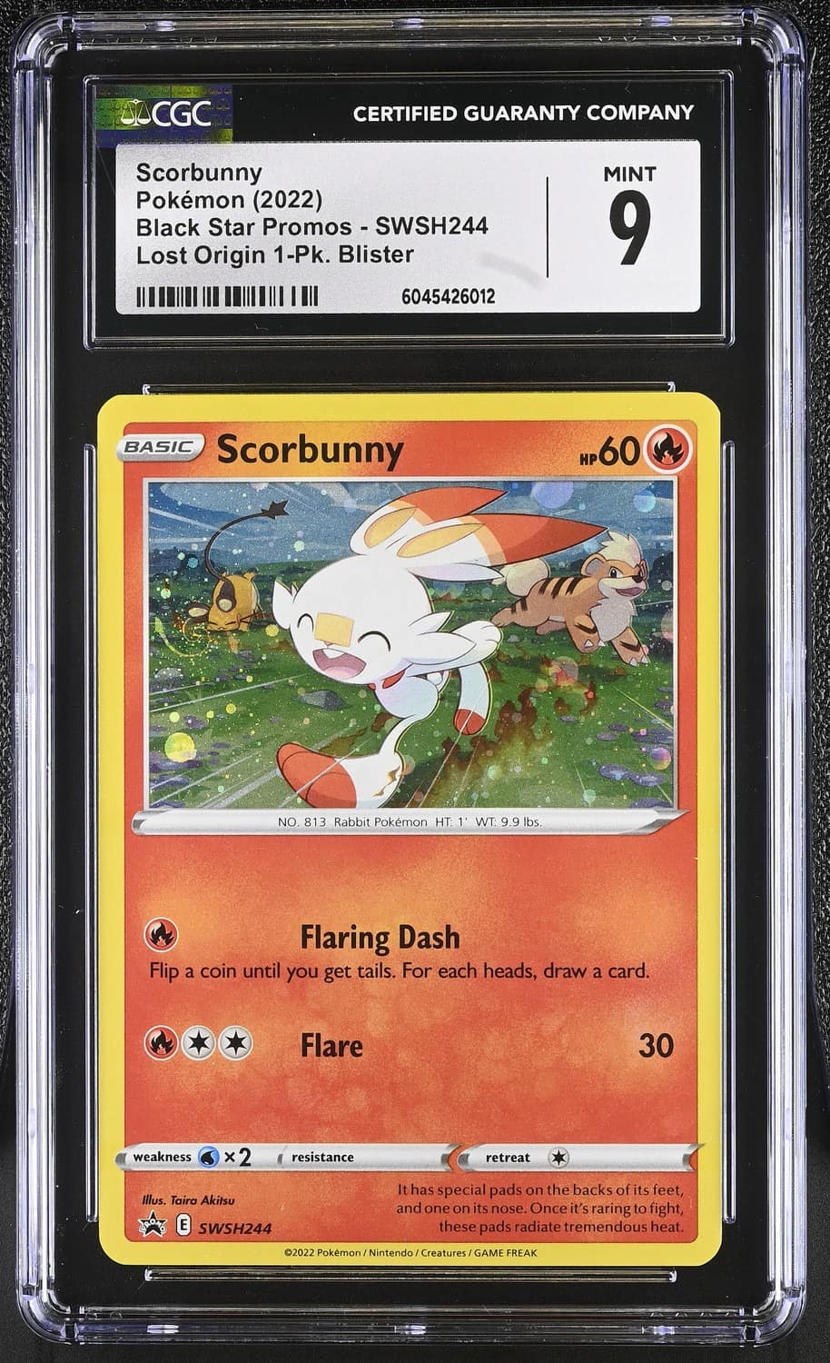 Scorbunny