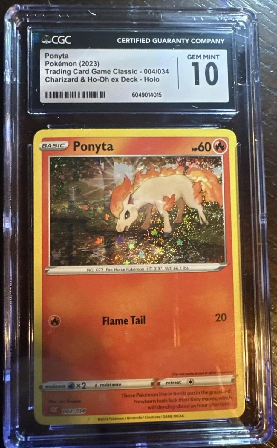 Ponyta