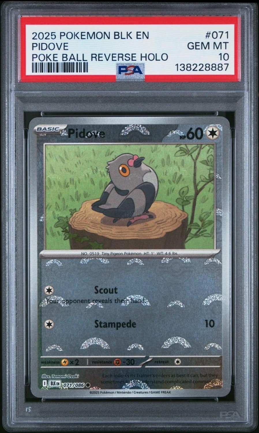 Pidove