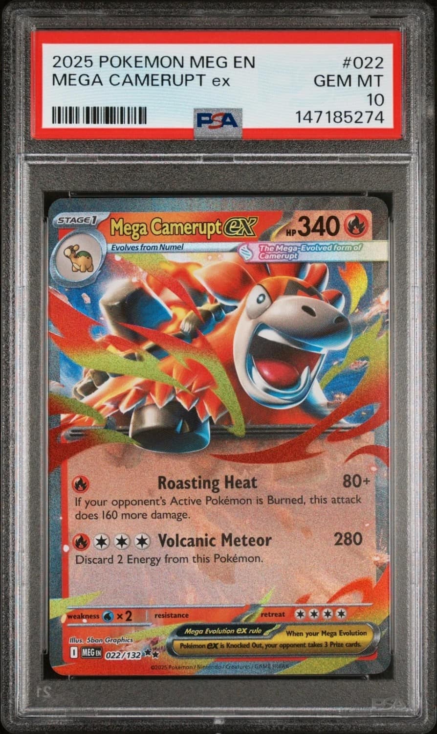 Mega Camerupt Ex