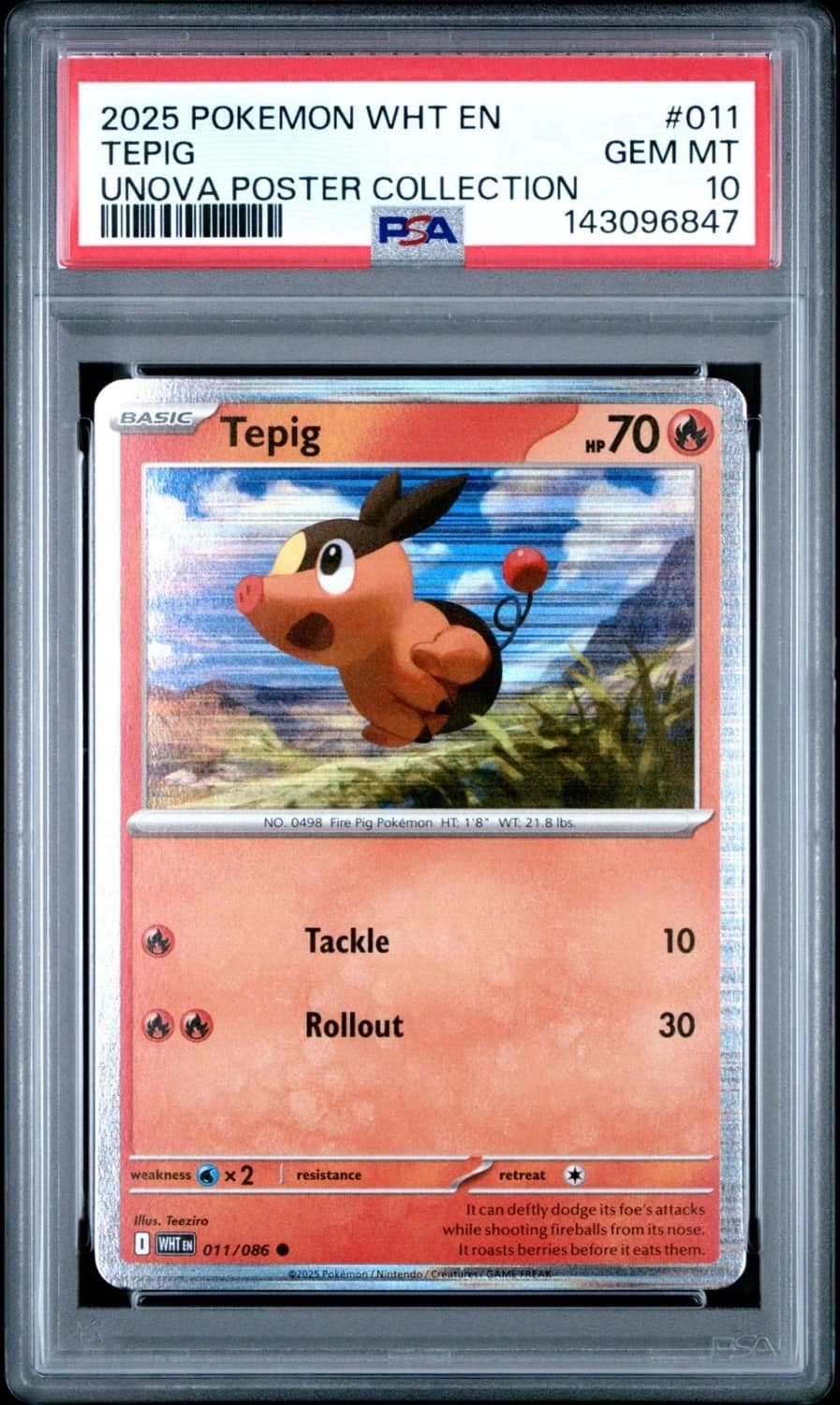 Tepig