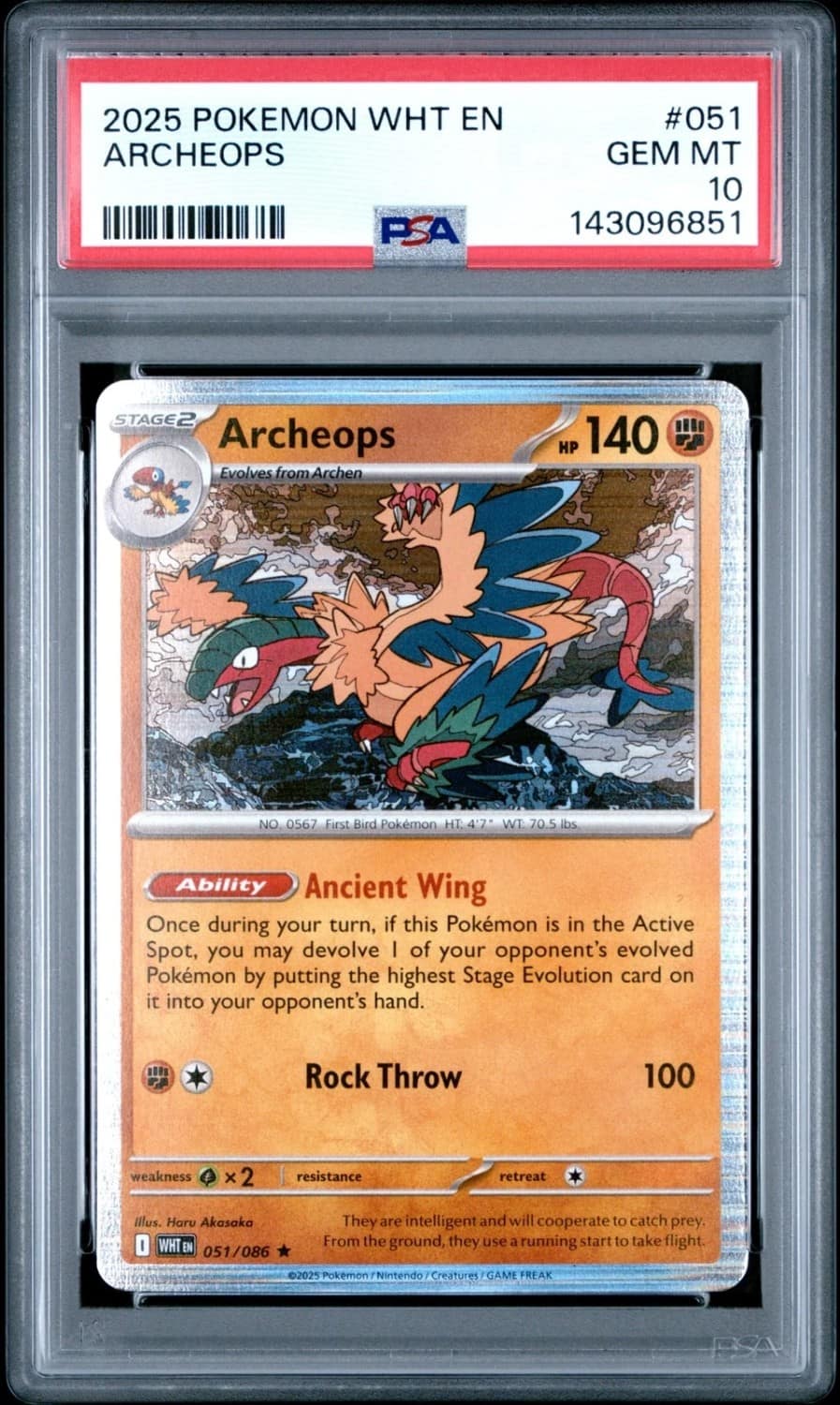 Archeops