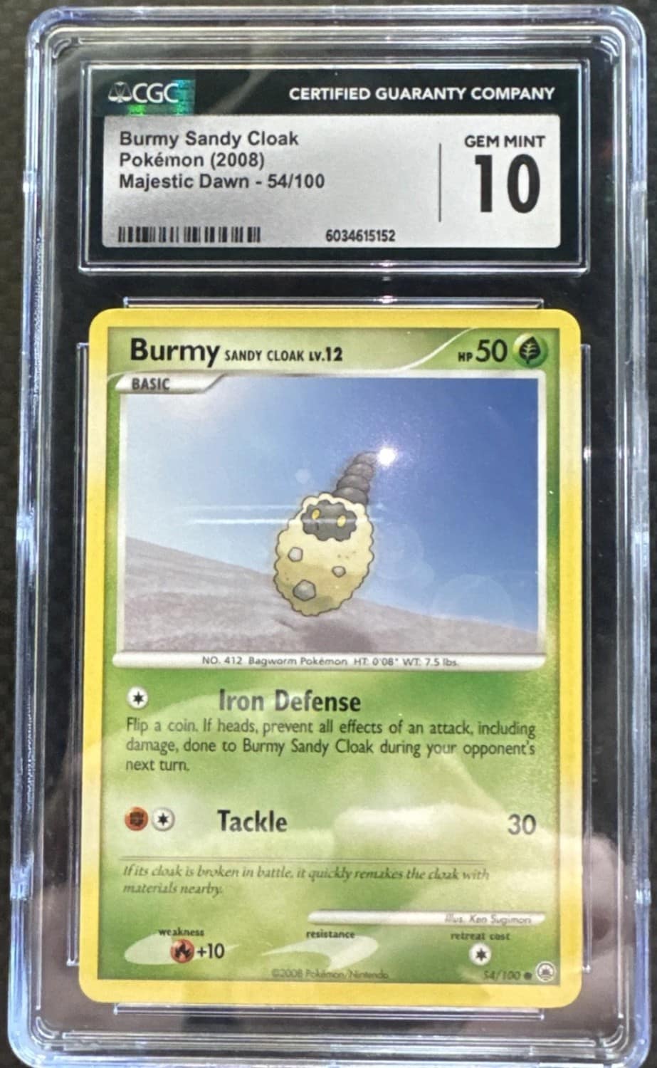 Burmy Sandy Cloak