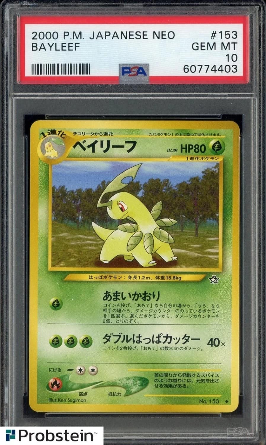 Bayleef