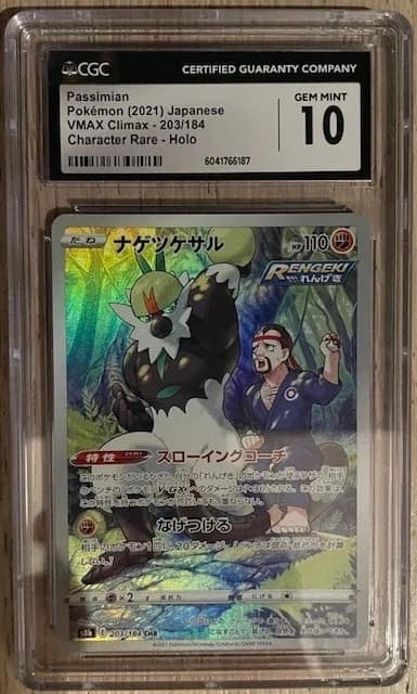 Passimian