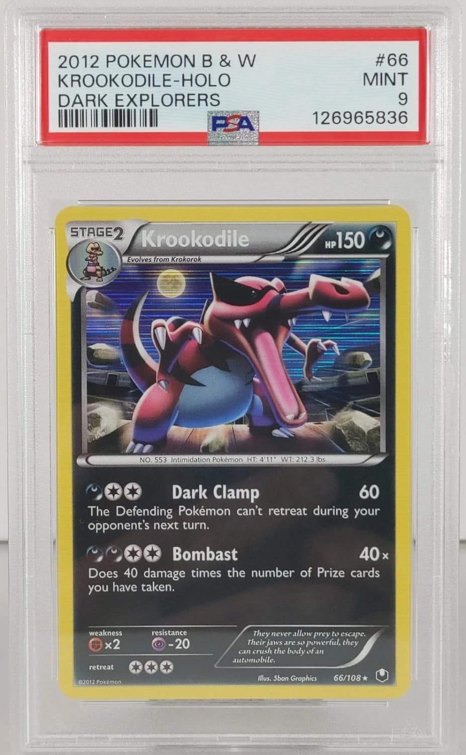 Krookodile