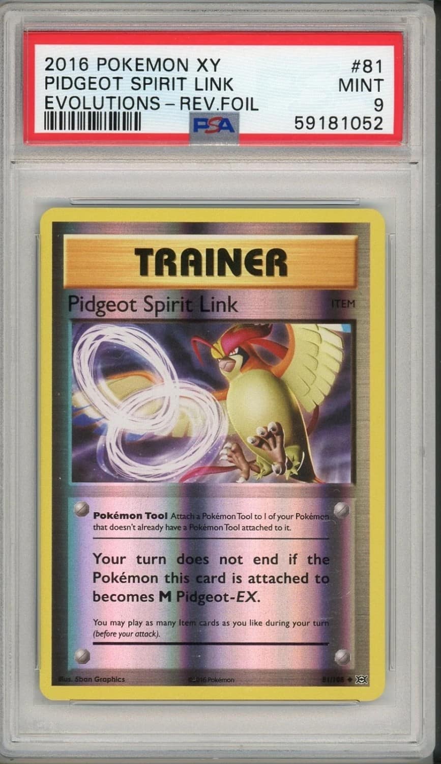 Pidgeot Spirit Link