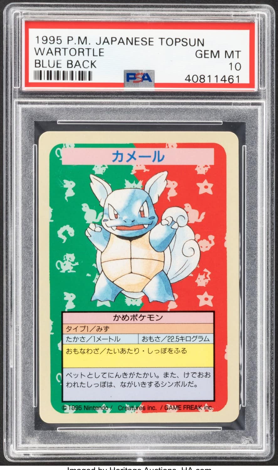 Wartortle