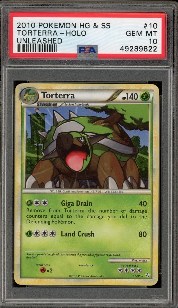 Torterra