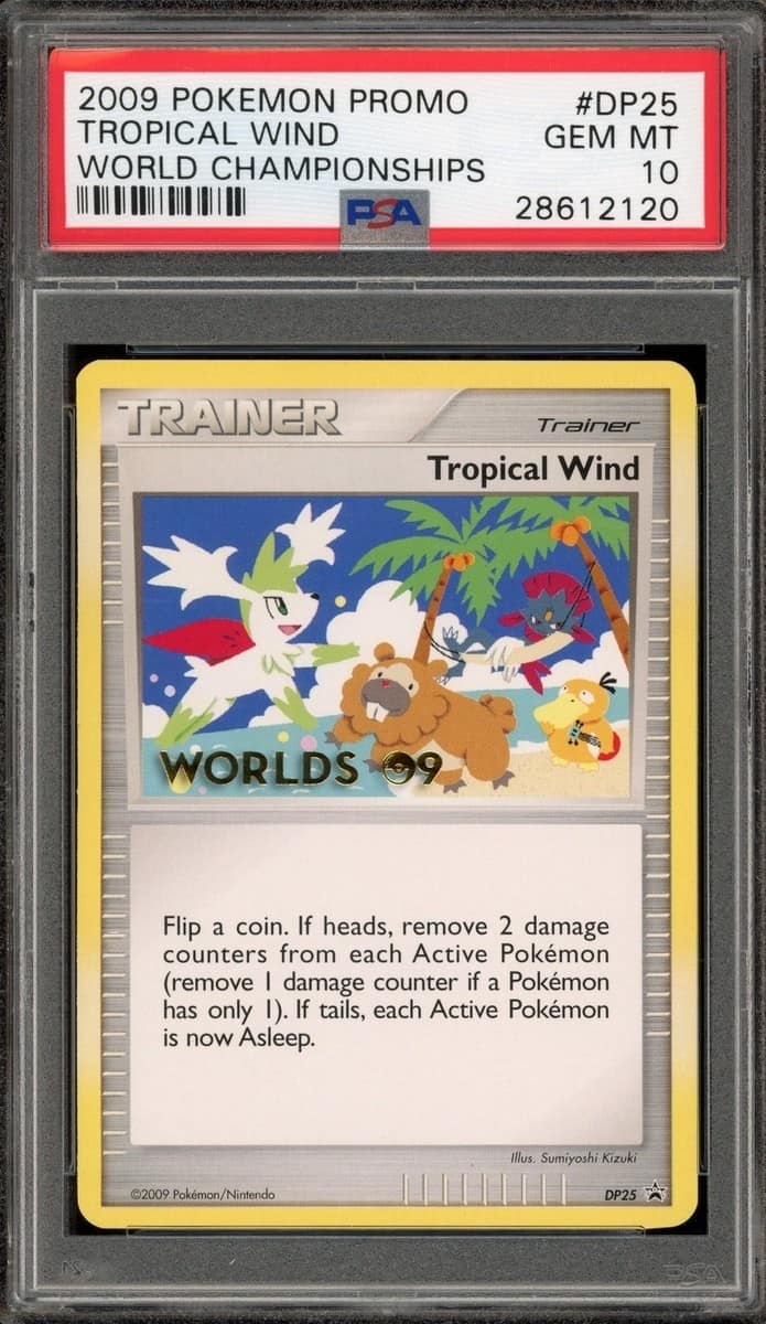 Tropical Wind