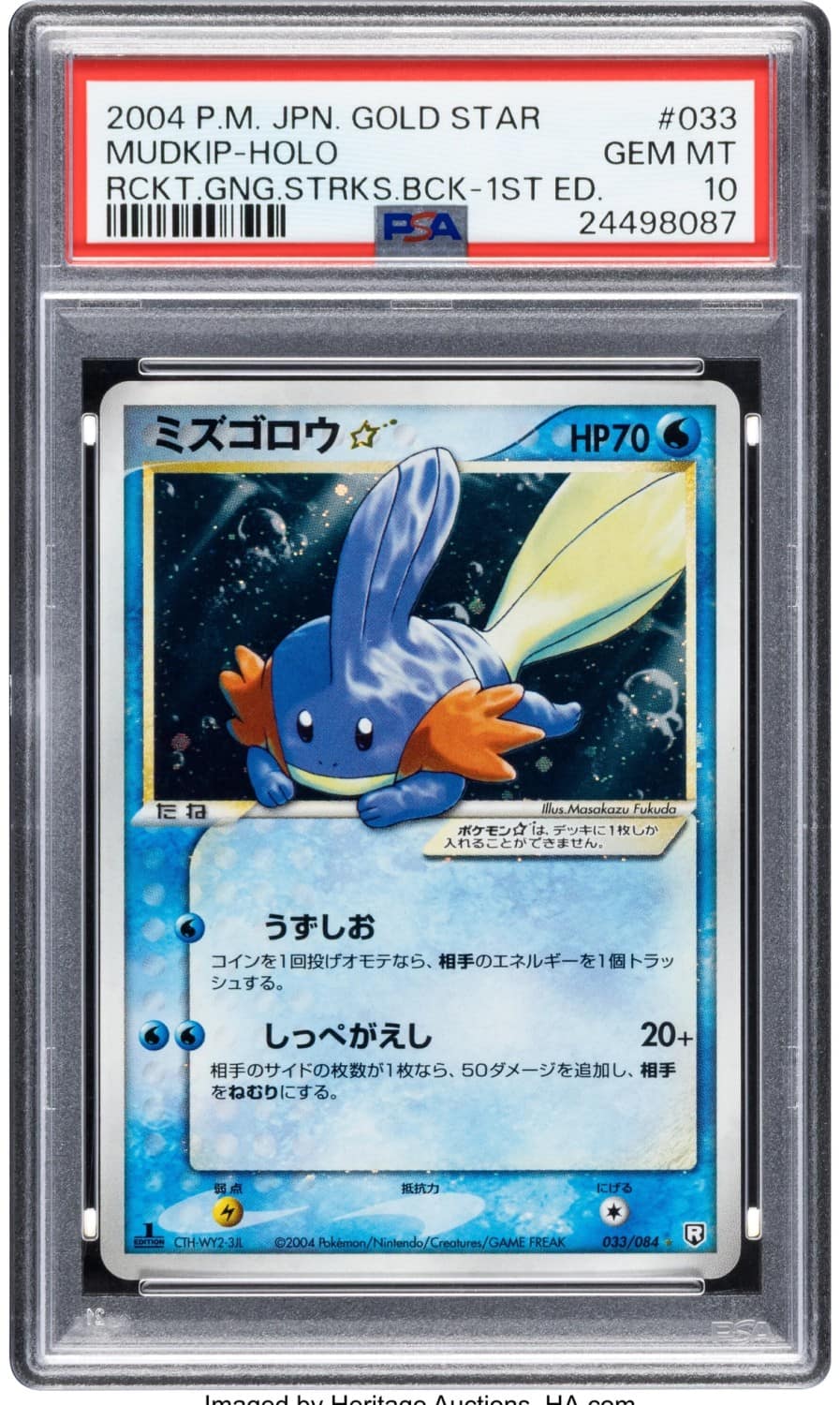 Mudkip
