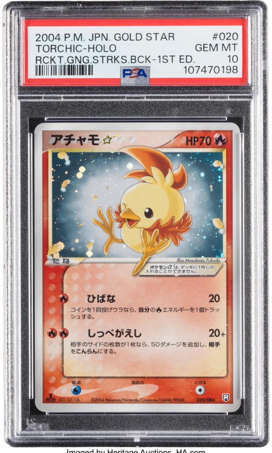 Torchic
