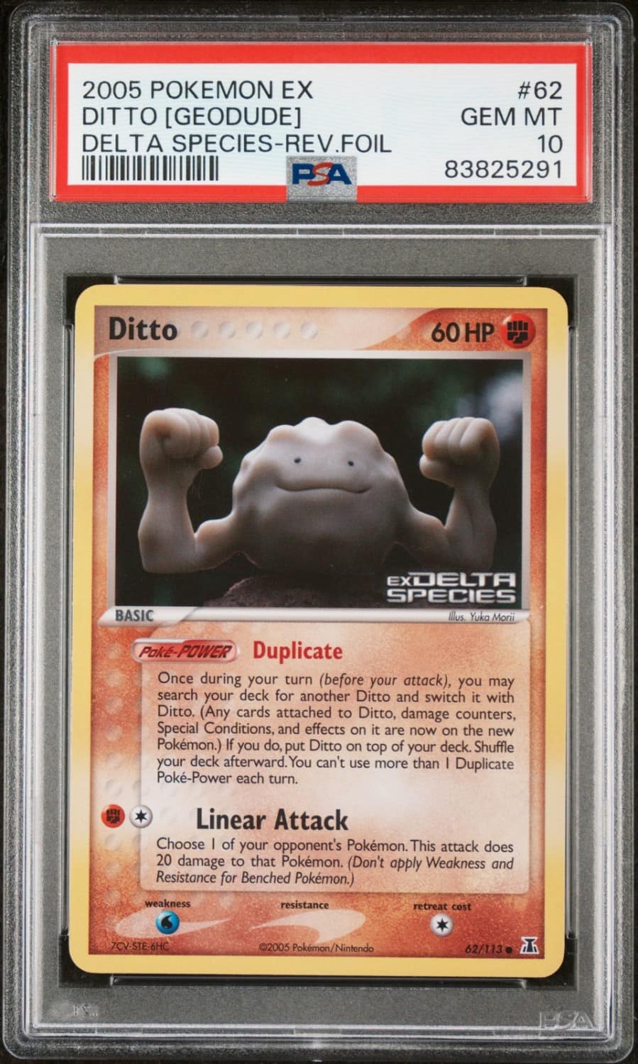 Ditto [geodude]
