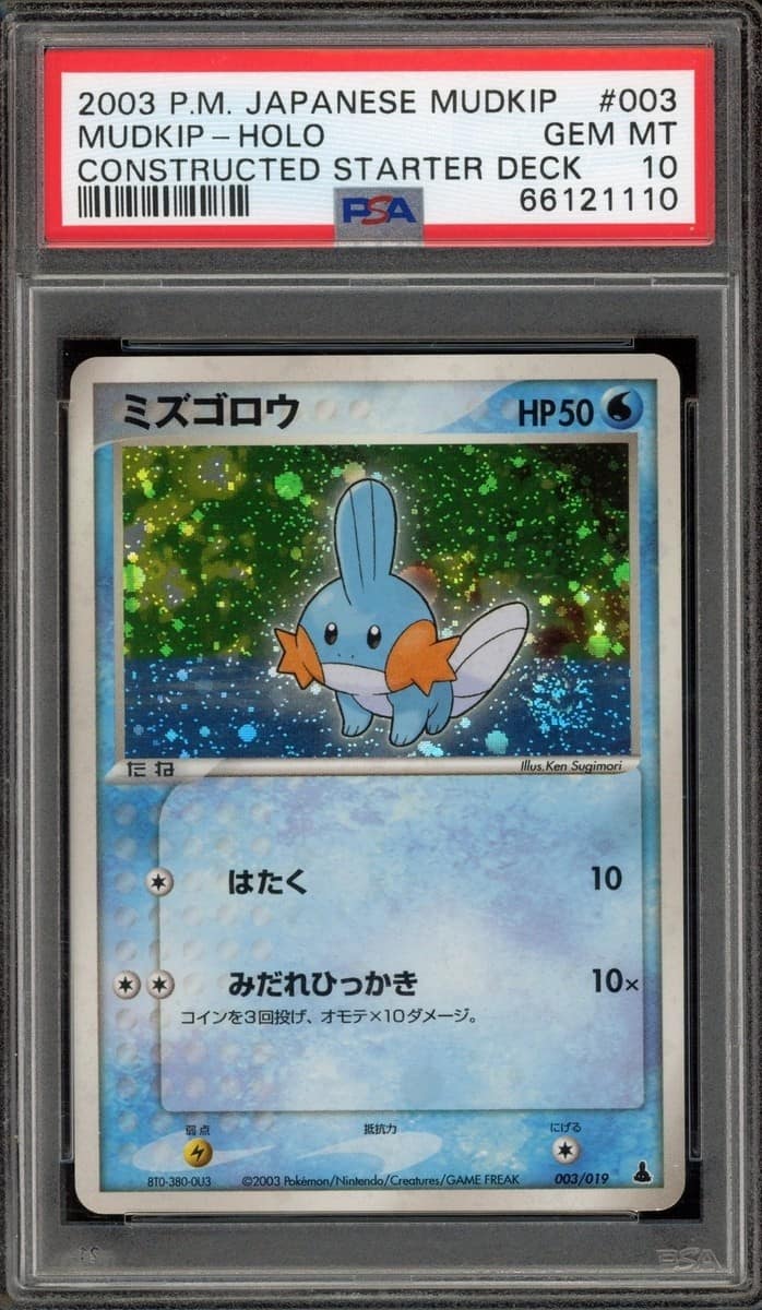 Mudkip