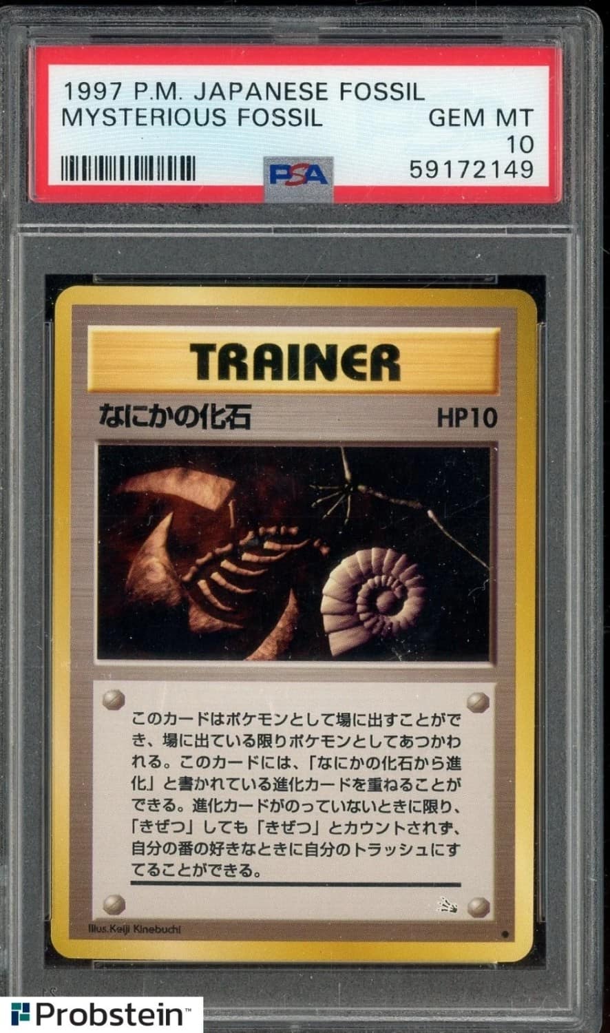 Mysterious Fossil