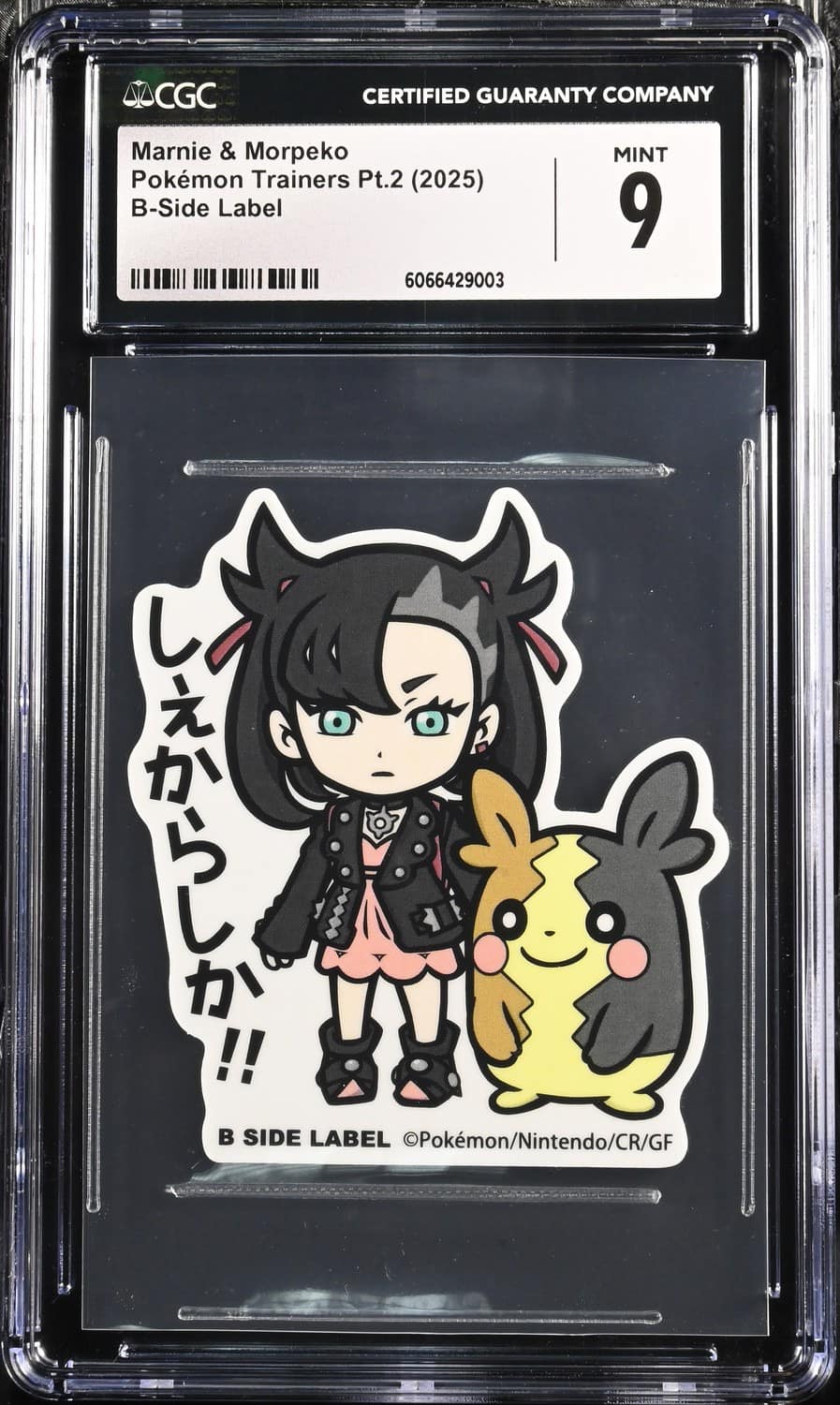 Marnie & Morpeko
